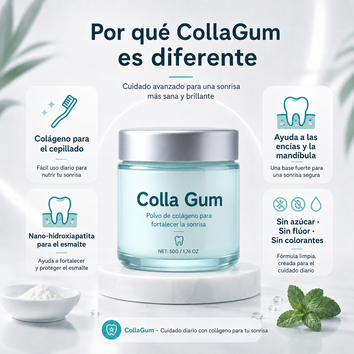 COLLA GUM